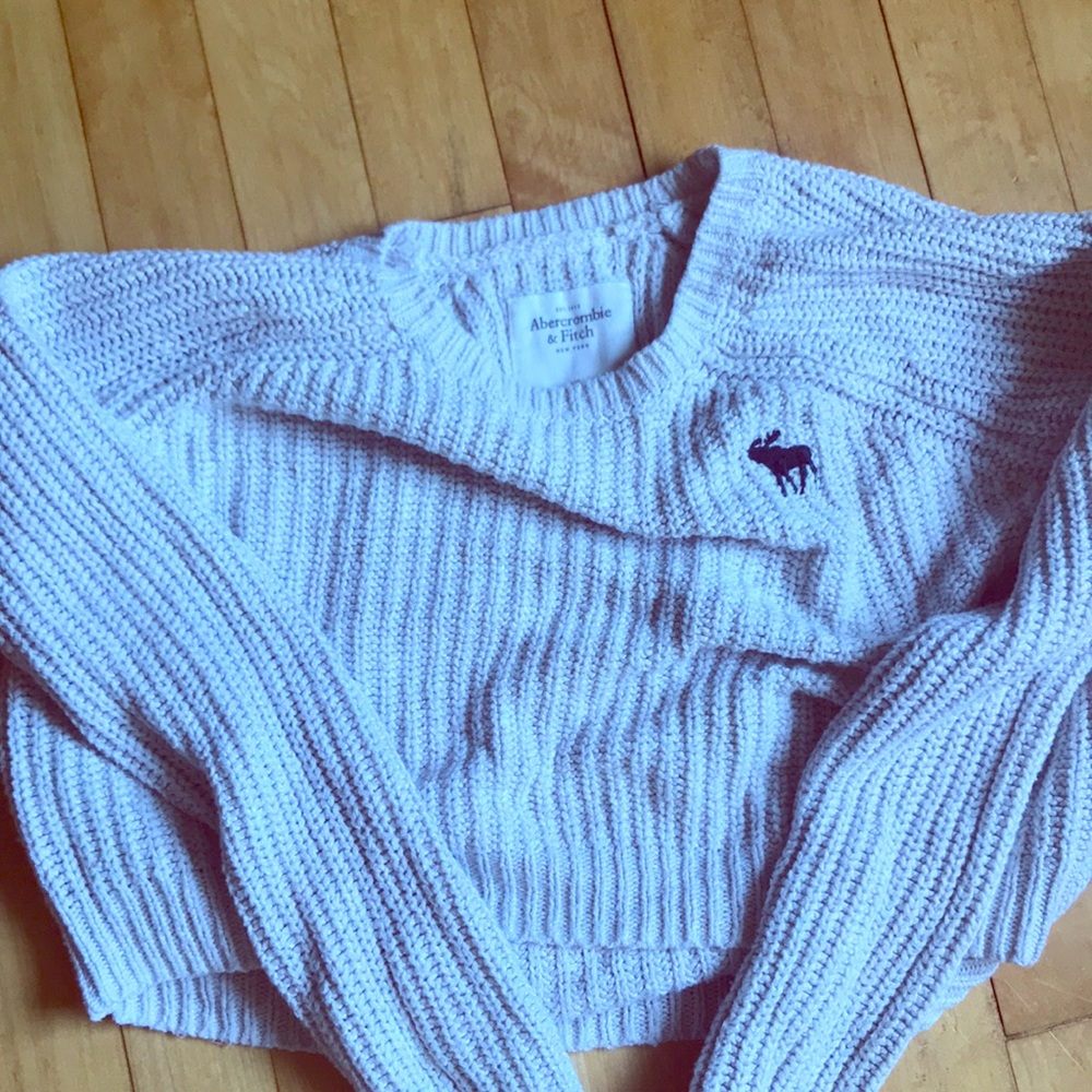 Abercrombie & Fitch Sweater Crop Top
